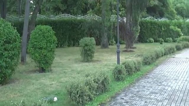 Совхоз им. Ленина (30.07.21) смотреть онлайн