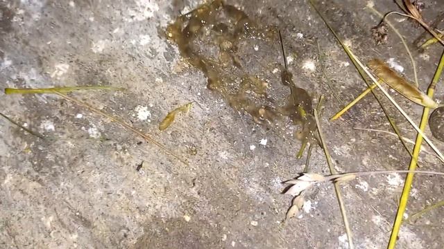 Напишіть шо то може бути смотреть онлайн