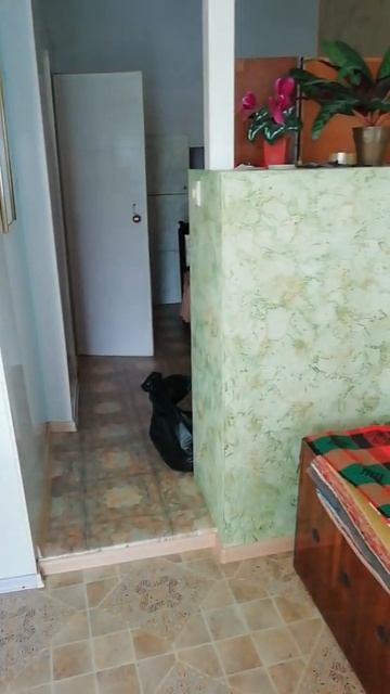 Отдых в Ялте недорого смотреть онлайн