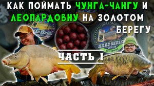 КАК ПОЙМАТЬ Чунга-Чангу и Леопардовну на Золотом берегу. Часть первая,