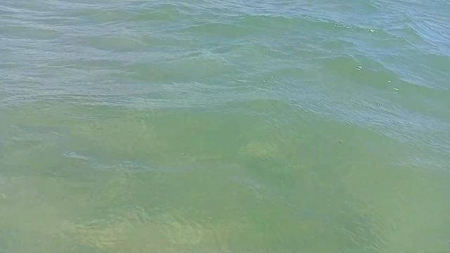 #Анапа Открыли купальный сезон смотреть онлайн