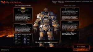 Обзор Neverwinter Online
