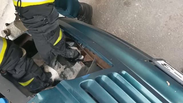 На помощь маленькому пушистику... смотреть онлайн