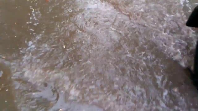 4 августа 2016 г. смотреть онлайн