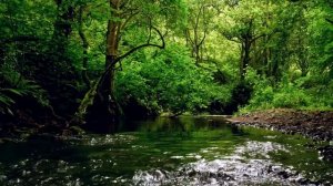 Сура Мухаммад