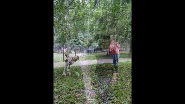 Дом там, где береза смотреть онлайн