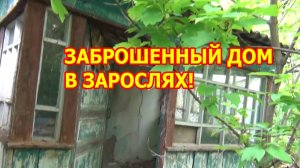 Заброшенный дом в густых зарослях. Заглянули внутрь и нашли в столе старинные иконы