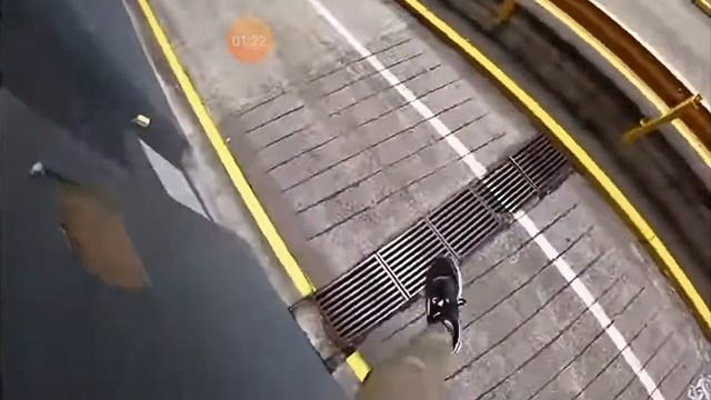 Паркур смотреть онлайн