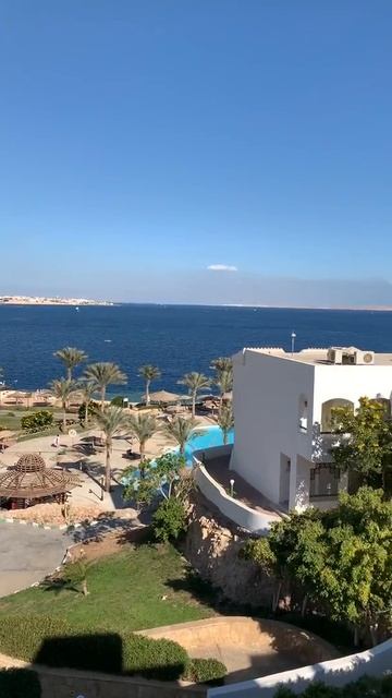 Вид с отеля Coral Beach Tiran Hotel смотреть онлайн