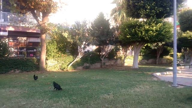 турция аланья обакёй смотреть онлайн