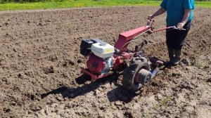 Работа окучниками. Нарезание борозд. Мотоблок МТЗ.