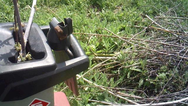 Использование защитных очков при измельчении веток