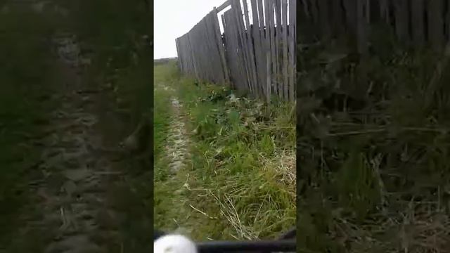 VLOG:Покатушки на велике! смотреть онлайн