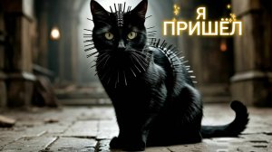 КОТ ПРИШЁЛ / Глухой Угол / Песня про ненависть к коту