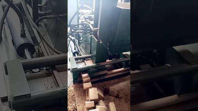 Брикетирующий пресс ВЕЙСТ-МАСТЕР смотреть онлайн