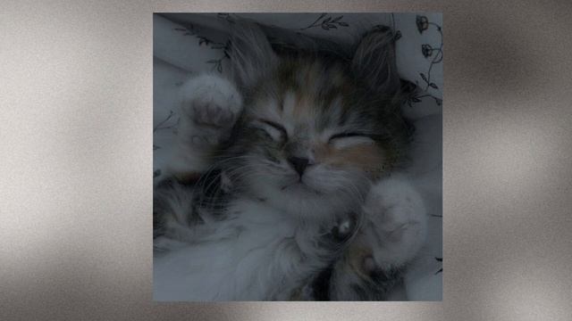 Христина Соловій --Тримай(speed up) смотреть онлайн