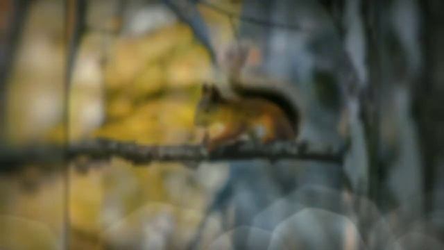 Осень Сарапул 2020 смотреть онлайн