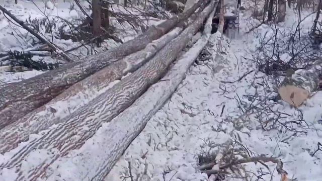 В лесу на ДТ-55 смотреть онлайн