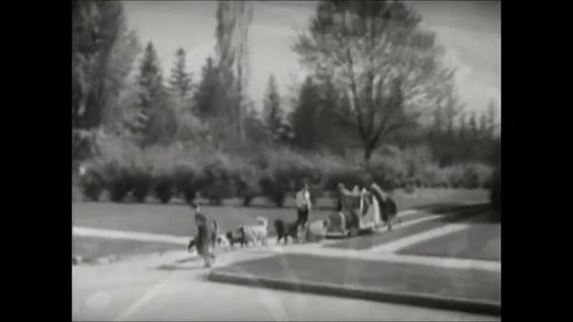 No. 297b: Max Raabe - Mein Hund (Electro Swing Stuttgart Rmx) смотреть онлайн