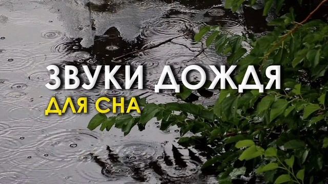 Вы быстро заснете под нежный звук капель дождя по листьям в саду смотреть онлайн