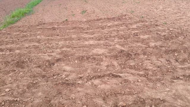 посіяли ще трошки грядок смотреть онлайн