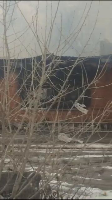 В Урюпинске полностью сгорели Кафе Перекрёсток и Сауна смотреть онлайн