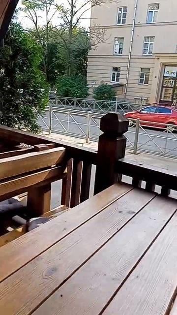 кафе Флора Пушкин Санкт-Петербург типичный Питер Saint Petersburg Russia food еда обед СПб Spb ужин смотреть онлайн
