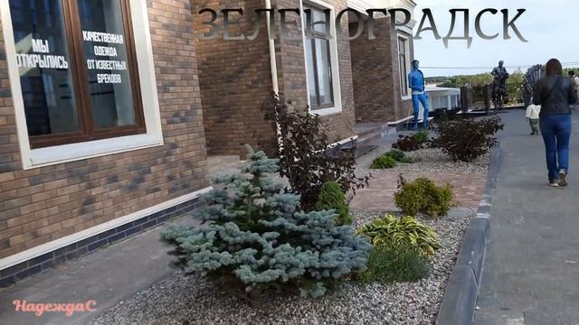 ЗЕЛЕНОГРАДСК.ЛЕТО 2024г.ГОРОД ТУРИСТИЧЕСКИЙ. КРАСИВЫЕ ДОМА. МНОГО ОТДЫХАЮЩИХ. смотреть онлайн