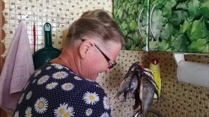 Голодным не буду 42