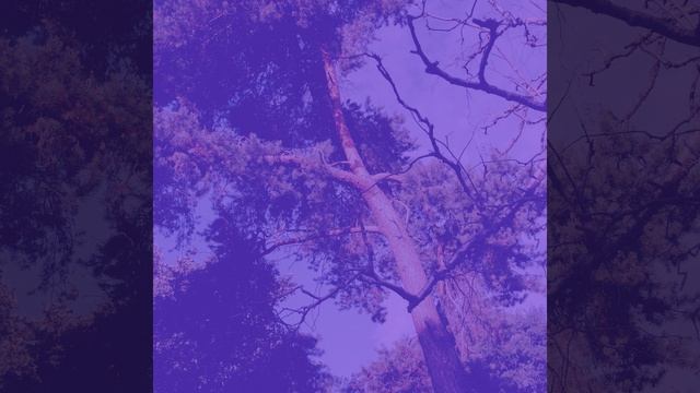 Настроения (Рестораны) смотреть онлайн