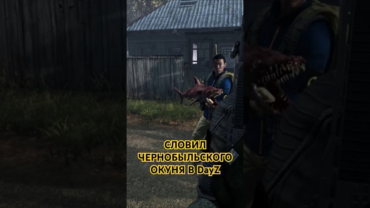СЛОВИЛ РЫБУ-МУТАНТА В DayZ STALKER #shorts #dayz #stalker #дэйз #сталкер #timonqi #чернобыль