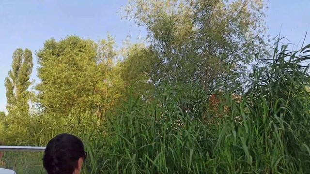 Кафе Якорь смотреть онлайн