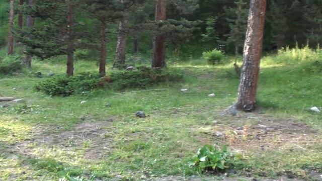 Эльбрус 2014, 4 день - 2300м, базовый лагерь смотреть онлайн