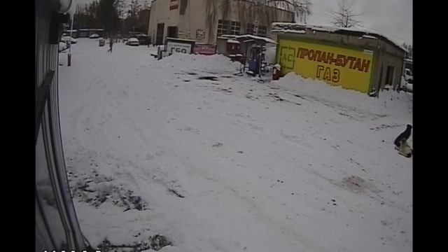 Как "зарабатывают" налоговики - краткий видеогид смотреть онлайн