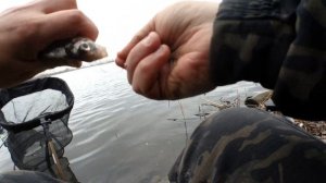 ВРЕМЯ ЭКСПЕРИМЕНТОВ! Рыбалка на фидер на водохранилище