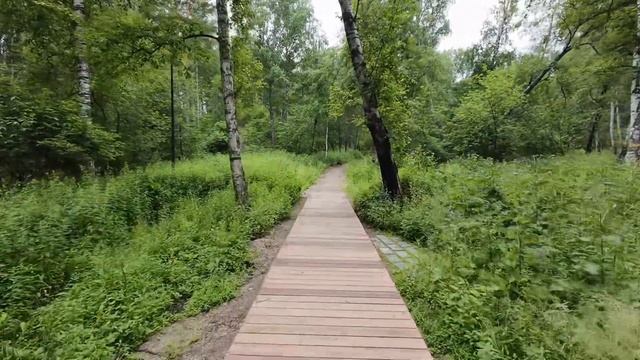 Куда сходить в Красноярске. Места для прогулок: Экопарк «Юдинская Долина» смотреть онлайн