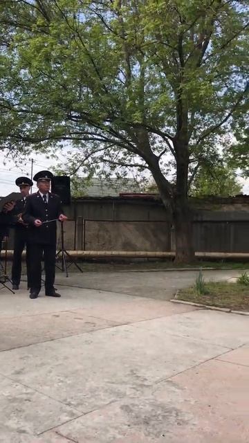 Вступление смотреть онлайн