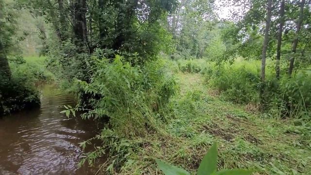Покоряем старые маршруты 🏊♂️, речка Ужуиха и Кама. смотреть онлайн