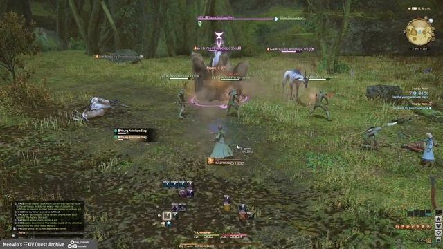 CONJURER: Lv.15 Trial by Water // FFXIV Quest Archive смотреть онлайн