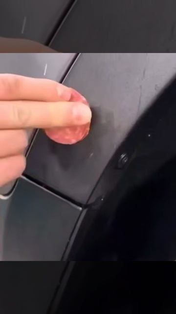 собаки уделали тачку смотреть онлайн