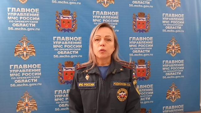 О.Родионова старший инспектор ОНД и ПР по Кувандыкскому муниципальному округу и г.Медногорск смотреть онлайн