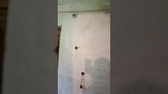 продажа дом. с участком. верхний Услон. смотреть онлайн