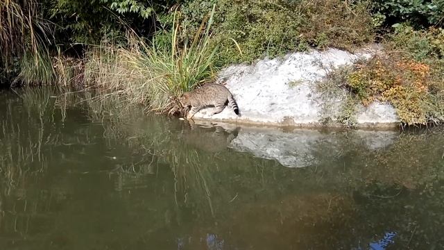 неудачная рыбалка с купанием. Форос смотреть онлайн
