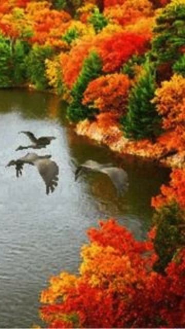 Доброе утро.