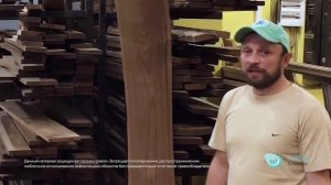 Урок №2. Выбор древесины