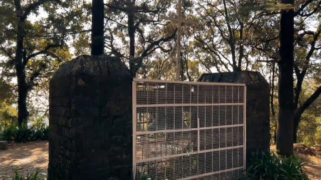 2024. Есть в Индии потрясающие места: Дхарамсала часть 2 смотреть онлайн