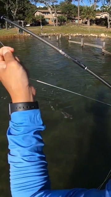 Fish0n 🤙🎣 смотреть онлайн