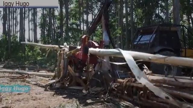 Процессор HYPRO 765 Окорки Эвкалипта