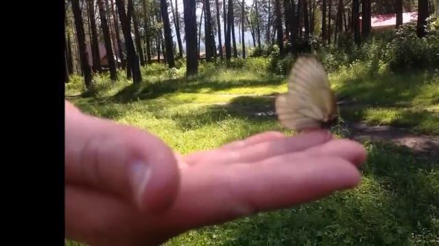 АЛТАЙ - зарисовки смотреть онлайн