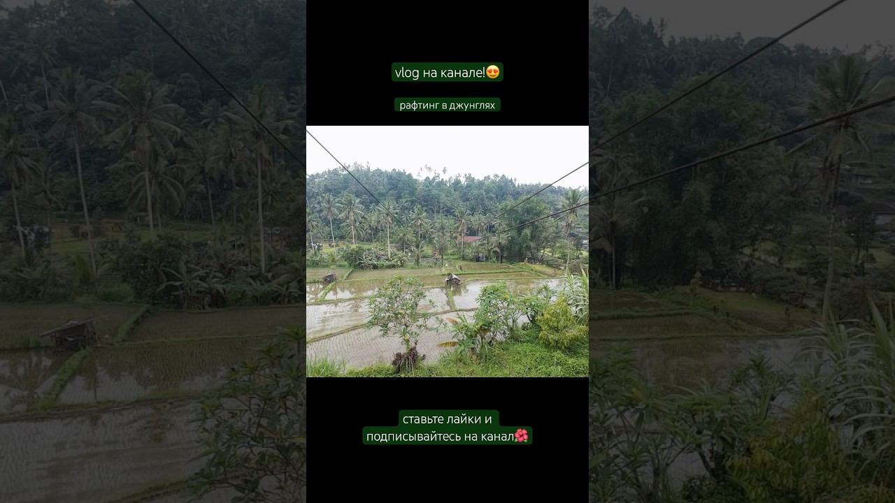 Birthday Vlog уже на канале!️ #bali #rafting #бали #рафтинг #yaalina